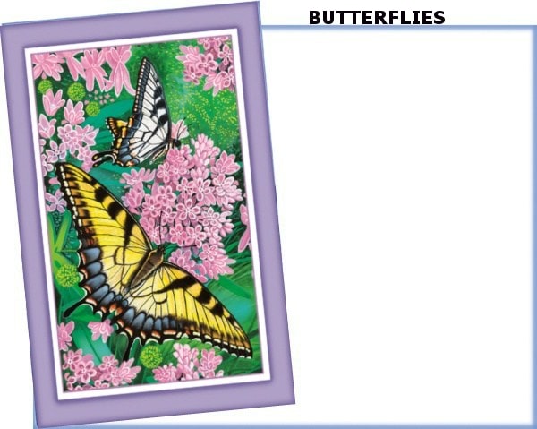 Greeting-card_Butterflies