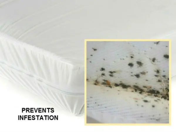 bed-bug-mattress-cover