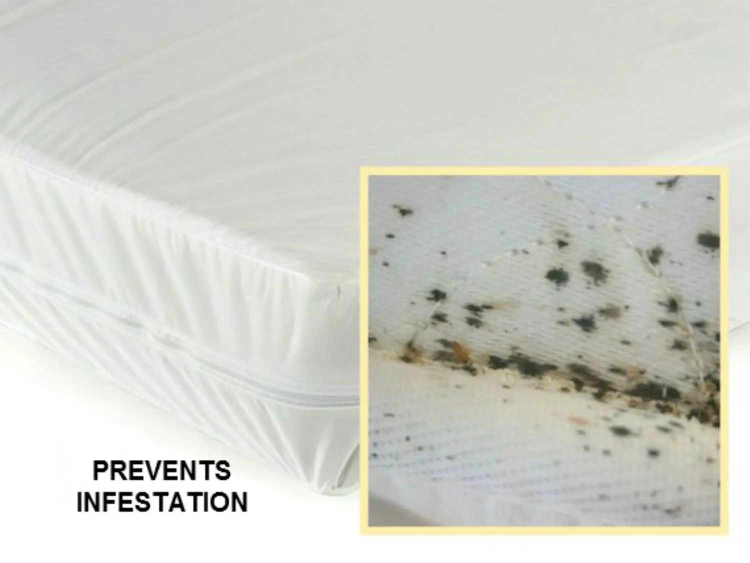 Can Bed Bugs Get Through Mattress Protector?