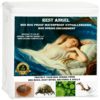 box-spring-encasement-bed-bug