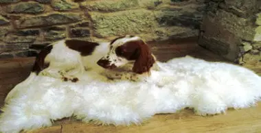 how to clean-sheepskin rug at home